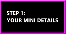 Your MINI Details